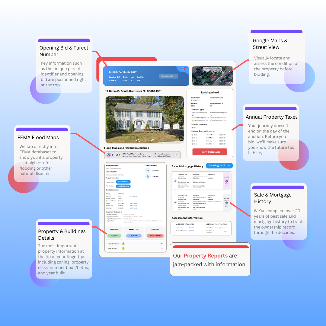 Property Report Image